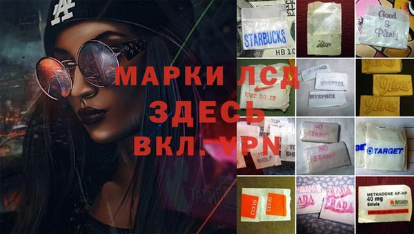 индика Алексеевка