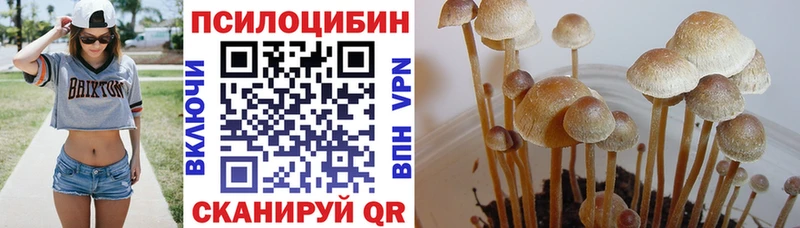 Галлюциногенные грибы прущие грибы  дарнет шоп  Димитровград 